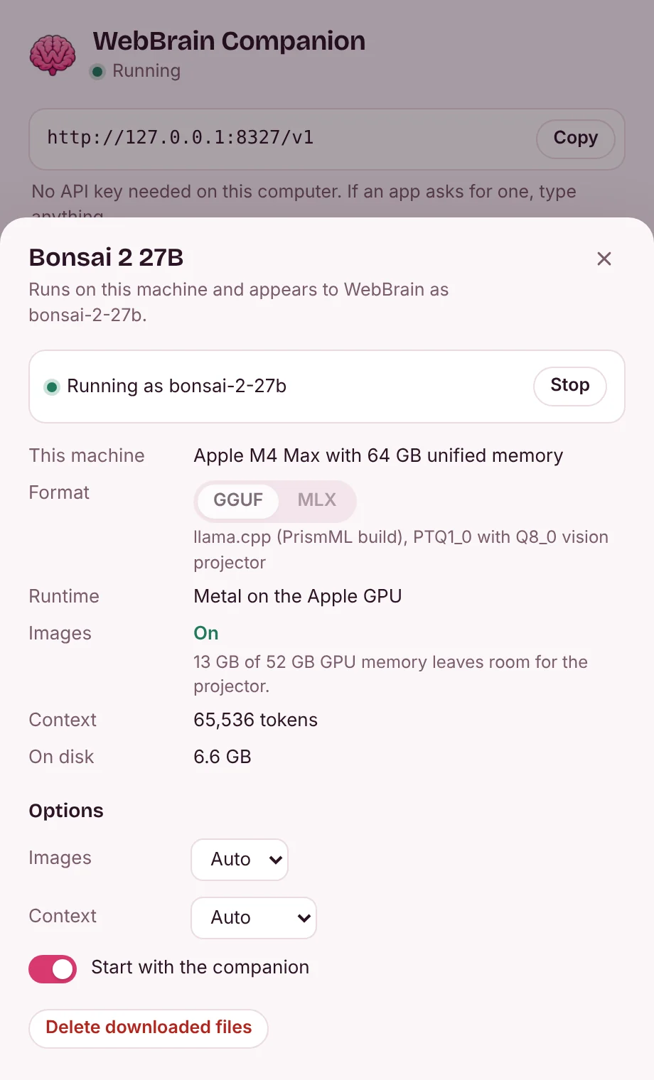 The Bonsai 2 27B details over the panel: running on the Apple GPU with image input on, 65,536 tokens of context, and its options.
